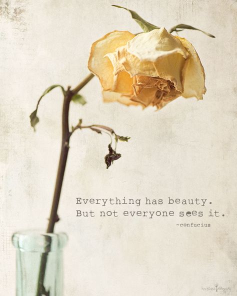 ♥️11/3 Rose Quotes, Dry Flower, Milk And Honey, Quotes Life, Mellow Yellow, Pantone Color, Wabi Sabi, Interesting Art