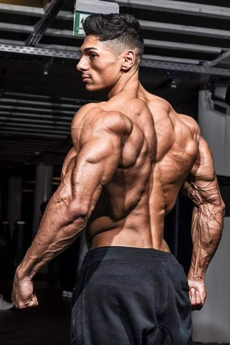 Best Bodybuilding Supplements, Man Anatomy, Build Muscle Fast, Muscle Anatomy, Muscle Hunk, Poses References, Body Builder, Motivation Fitness, Muscular Men