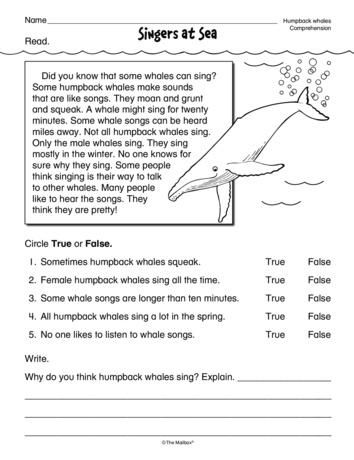 2nd Grade Reading Worksheets, Free Reading Comprehension Worksheets, 8th Grade Reading, 2nd Grade Reading Comprehension, Ela Worksheets, Present Continuous, 2nd Grade Worksheets, 4th Grade Reading, 3rd Grade Reading