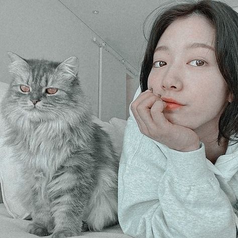 Korean girl and cat Park Shin Hye Aesthetic, Aesthetic Korean, Aesthetic Cat, Park Shin Hye, Korean Aesthetic, Animals