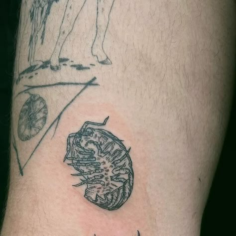 Annie on Instagram: "Some pill bugs as an addition to a healed @wolfgore piece" Pill Bug Tattoo, Roly Poly Tattoo, Skink Tattoo, Pill Bugs, Healed Tattoo, Pill Bug, Bug Tattoo, Dope Tattoos, Piercing Tattoo