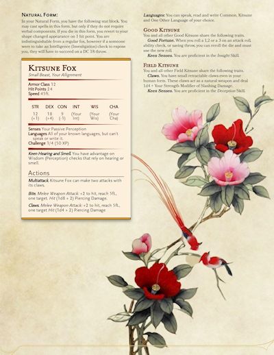 Kitsune Dnd, Dungeons And Dragons Races, Dnd Stats, Dnd Races, Dnd Classes, Dnd Funny, Dnd Dragons, Art Basics, Dungeons And Dragons Game