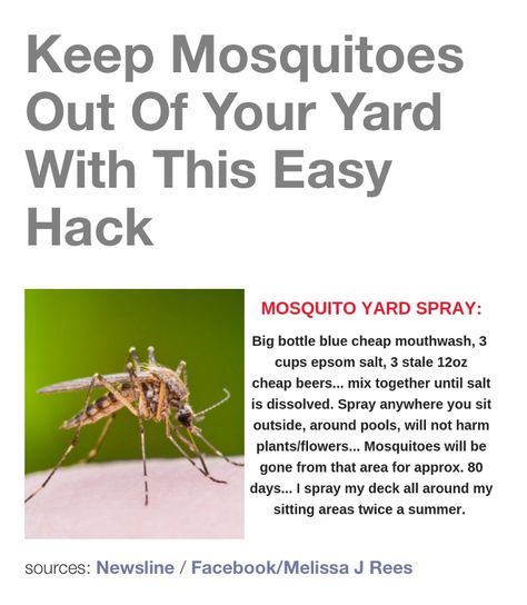 Mosquito Yard Spray, Homemade Bug Repellent, Repellent Diy, Diy Bug Repellent, Mosquito Repellent Homemade, Diy Mosquito Repellent, Bug Repellant, Bug Spray Recipe, Mosquito Spray