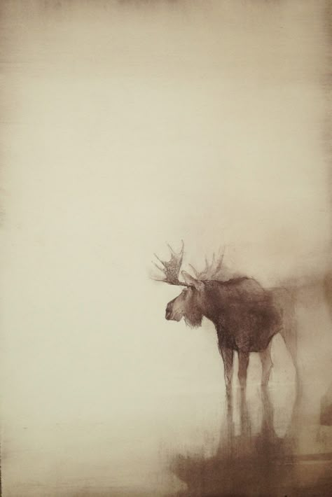 Moose Painting, Beautiful Wildlife, American Painting, Arte Animal, Watercolor Techniques, Watercolor Animals, Wildlife Art, National Museum, Art Techniques