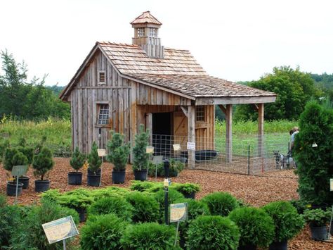 Shed Inspiration, Chicken Barn, Amazing Chicken, Coop Design, Chicken Coop Designs, Building A Chicken Coop, Backyard Chicken Coops, Barn Plans, Potting Sheds