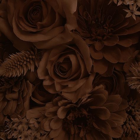 Tawny Brown Aesthetic, Dark Brown Aesthetic Pictures, Autumn Backgrounds, Brown Eyes Aesthetic, Aesthetic Gallery, Flower Brown, Tawny Brown, Brown Image, Space Phone Wallpaper