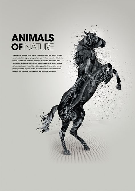 Animals of nature by Patrick Monkel, via Behance Nature Projects, Horse Inspiration, Horse Posters, Publicidad Creativa, Horse Tattoo, Poster Ads, Creative Poster Design, Sketchbook Inspiration, Creative Posters