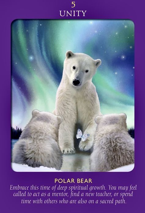 Polar bears, like the Unity card, represent deep spiritual growth. They symbolize the importance of having an experienced teacher to guide you on your sacred journey. Due to their extreme living conditions, they may suggest a "black-and-white" approach to decision-making. Is this one of those times when a traditional route makes the most sense? Or is thinking strategically to come up with a more original plan the order of the day? Animal Tarot Cards, Bear Spirit Animal, Divine Tarot, Spirit Animal Meaning, Beautiful Boards, Animal Meanings, Animal Tarot, Animal Spirit Guide, Angel Tarot