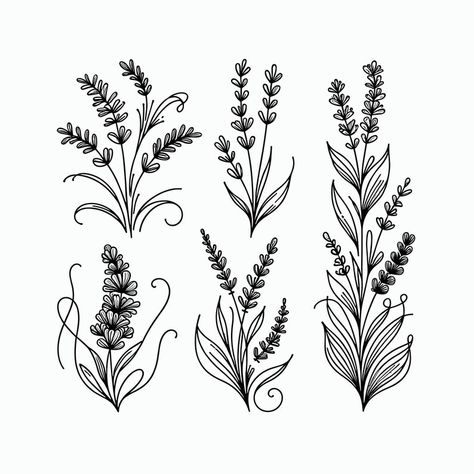 Elegant Lavender Mono-line SVG Pack Instant Download - Etsy Viking Drawings, Flower Svg Files, Zen Doodle Patterns, Flower Line Drawings, Lavender Aesthetic, Embroidery Motifs, Flower Svg, Botanical Drawings, Bullet Journal Ideas Pages