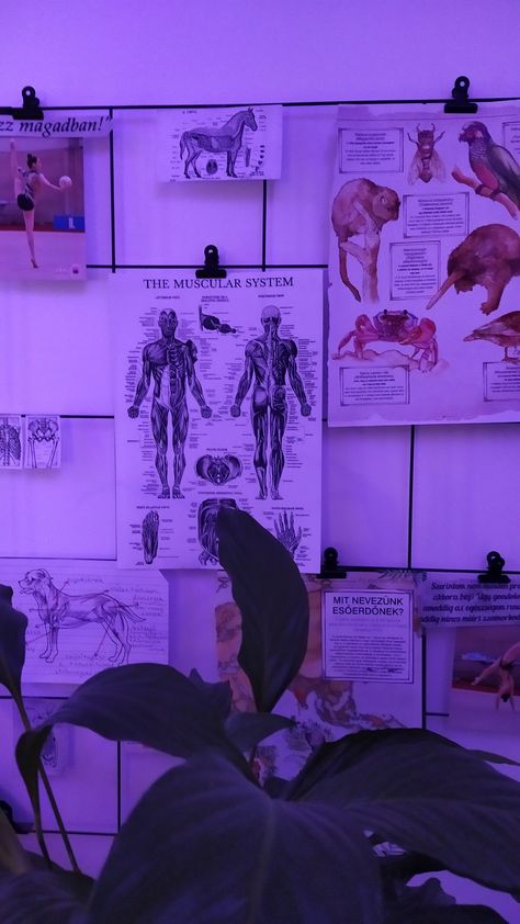 Purple Anatomy Aesthetic, Bio Medical Engineering Aesthetic, Purple Biology Aesthetic, Medicine Purple Aesthetic, Pill Aesthetics Purple, Infectious Diseases Aesthetic, Purple Doctor Aesthetic, Purple Medical Aesthetic, Doctor Purple Aesthetic