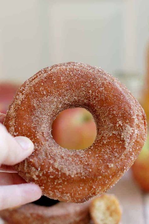 Yeasted Apple Cider Donuts Apple Cider Doughnut Recipe, Cider Donuts Recipe, Apple Cider Donuts Recipe, Yeast Donuts, Apple Donuts, Fried Donuts, Sugar Dough, Homemade Apple Cider, Apple Cider Caramels