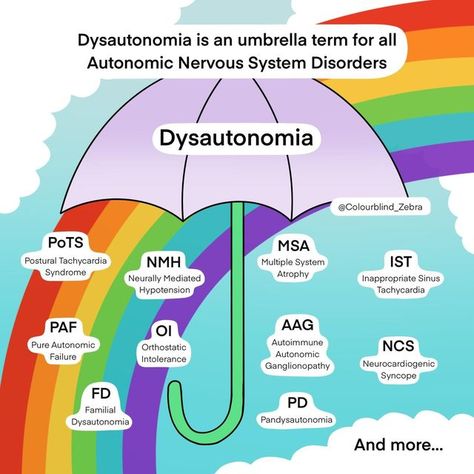 Abby | Colourblind Zebra 🌈🌻 on Instagram: "A few of you have asked me what Dysautonomia is - it is an umbrella term for all disorders of the Autonomic Nervous System ☔ This umbrella includes: 💙 Postural Orthostatic Tachycardia Syndrome 💙 Neurally Mediated Hypotension 💙 Pure Autonomic Failure 💙 Orthostatic Intolerance 💙 Familial Dysautonomia 💙 Multiple System Atrophy 💙 IST 💙 Autoimmune Autonomic Ganglionopathy 💙 Neurocardiogenic Syncope 💙 Pandysautonomia 💙 And more... Many of these c Orthostatic Intolerance, Autonomic Dysfunction, Dysautonomia Symptoms, Postural Orthostatic Syndrome, Pots Disorder, Dysautonomia Workout, Dysautonomia Tips, Pots Dysautonomia Funny, Pure Autonomic Failure