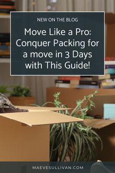 Ready to ace your next move? 💪 Check out our Ultimate Guide On How To Pack For A Move In 3 Days - Maeve Sullivan! Learn tips, tricks, and hacks to pack efficiently and stress-free, leaving you with plenty of time to enjoy your new home. 🏡 how to pack for a move in 3 days | how to pack for a move quickly | packing tips | moving house tips Moving In One Week, How To Pack Efficiently For Moving, Packing To Move Hacks, Moving Tips Packing Organizing, How To Pack To Move, Packing Tips Moving, Moving List, Moving House Tips, Moving Hacks