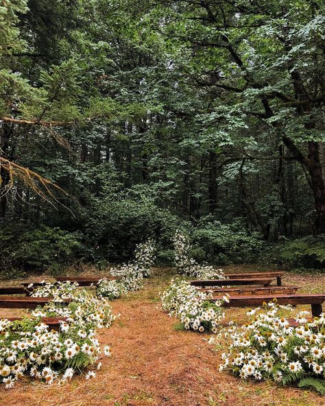 Floor Flower Arrangements Wedding Alter, Forest Ceremony Wedding, Wedding In Flower Field, Wedding Arch Alternative Outdoor, Flower Aisle, Wedding Aisles, Forest Wedding Ceremony, Prairie Wedding, Bear Flag