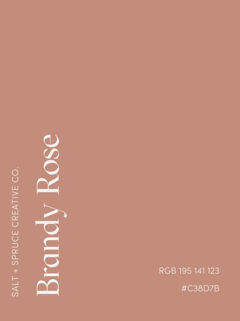 Brandy Rose - Pink Color Palette Rose Paint Color, Rosé Pink Aesthetic, Brandy Rose, Branding Mood Board Inspiration, Nude Color Palette, October Mood, Colors Aesthetic, Pink Color Palette, Vintage Colour Palette