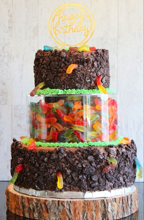 #cake #cakeideas #boyscake #kidscake #cakedecoratingtechniques #boysbirthdaycakes #halloweencake #dirtandwormscake #chocolatecake Worm Birthday Cake, Cake With Gummy Worms, Worms And Dirt, Dirt And Worms, Worm Cake, Lush Cake, Boys Cake, Dirt Cake, Buttercream Cake Decorating