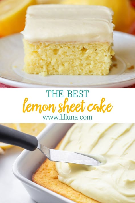 Bright Lemon Sheet Cake with creamy lemon buttercream frosting is a sunny dessert perfect for feeding a crowd! #lemonsheetcake #sheetcake #lemoncake #lemon #cake Lemon Sheet Cake Recipe, Lemon Sheet Cake, Easy Lemon Cake Recipe, Half Sheet Cake, Lemon Cake Easy, Lemon Buttercream Frosting, Lemon Treats, Lemon Pudding Cake, Sheet Cake Recipe