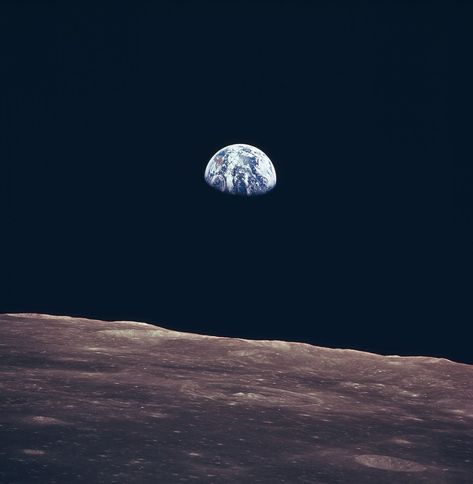 Picture of the Day: This Was Taken Exactly 45 Years Ago «TwistedSifter Earth Rise, Earth From Moon, Apollo 11 Moon Landing, Apollo 11 Mission, Earth Space, Apollo Missions, Space Photography, Apollo 11, Nasa Space