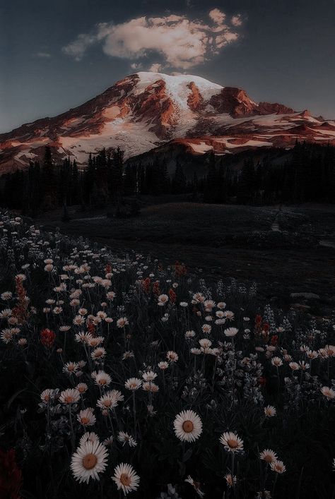 Mountain Aesthetic, Spring Nights, Rural Landscape, Spring Aesthetic, Night Aesthetic, Nature Aesthetic, Aesthetic Videos, Mount Rainier, Aesthetic Wallpapers