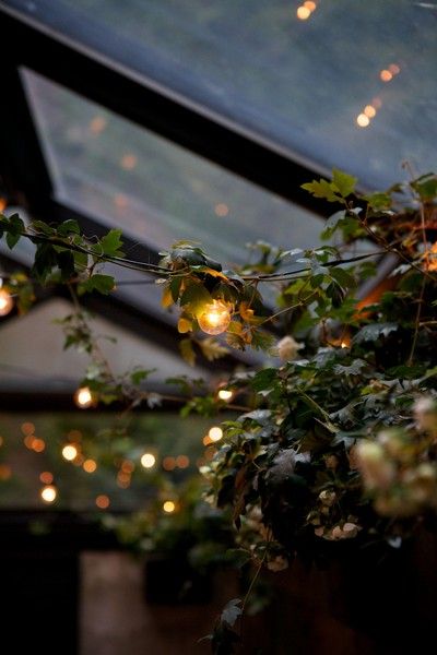 hidden+lights+whimsical+garden Deco Champetre, Glass Roof, Outdoor Entertaining Area, Entertaining Area, Twinkle Lights, Outdoor Entertaining, Garden Room, Decoration Design, Amalfi