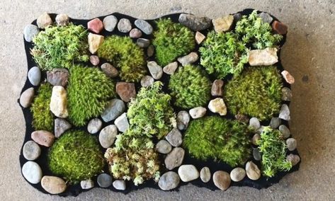 Moss Shower Mats, Bath Mat Ideas, Moss Bath Mat, Moss Carpet, Home Cleaning Remedies, Bath Mat Diy, Diy Moss, Mat Ideas, Moss Rug