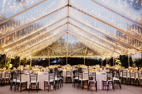 The Raleigh Miami Beach Reception Venue Clear Tent with String Lights and Tables Tent Wedding Reception, Clear Tent, Florida Keys Wedding, Water Wedding, Reception Inspiration, Keys Wedding, Tent Lighting, Wedding Reception Inspiration, Wedding Tent