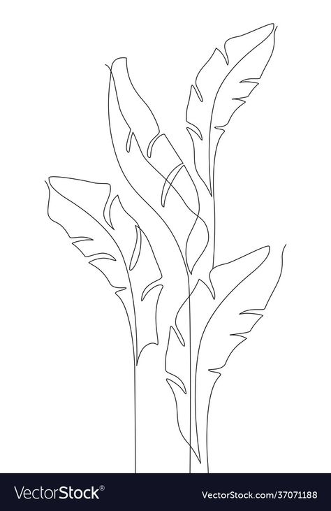 Banana Leaf Line Drawing, Bird Of Paradise Line Drawing, Tropical Leaves Line Art, Tropical Leaves Drawing Simple, Tropical Leaf Line Art, Tropical Leaves Outline, One Line Leaf Drawing, Jungle Line Art, Banana Leaves Tattoo