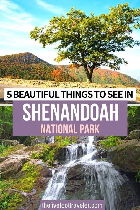 Virginia National Parks, What To Do Outside, Things To Do In Virginia, Virginia Travel, Skyline Drive, National Park Road Trip, Shenandoah National Park, Usa Travel Guide, Gorgeous Scenery