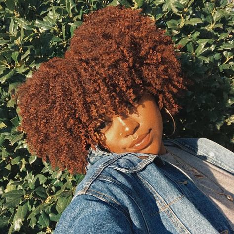 Auburn 4c Hair, Afro Curls, Dyed Natural Hair, Pelo Afro, Natural Hair Community, Natural Hair Beauty, 4c Hair, Afro Hair, Natural Hair Inspiration