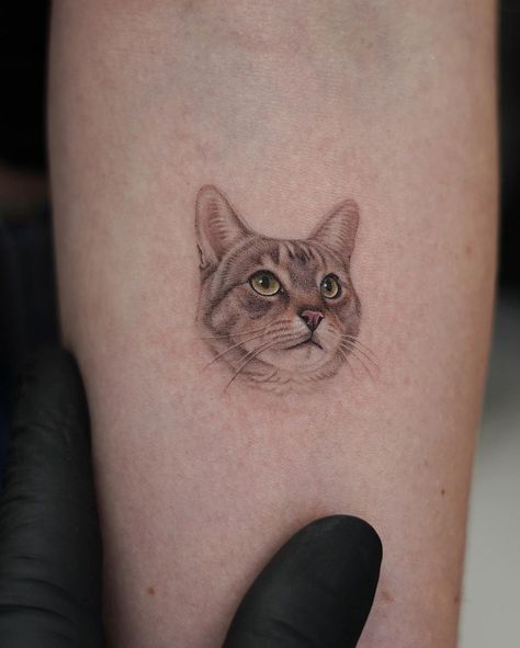 Cat Portrait Tattoo Designs, Detailed Cat Tattoo, Small Cat Portrait Tattoo, Simple Cat Portrait Tattoo, Micro Pet Portrait Tattoos, Pet Face Tattoo, Feminine Cat Tattoos, Micro Cat Tattoo, Cat Tattoo Realism