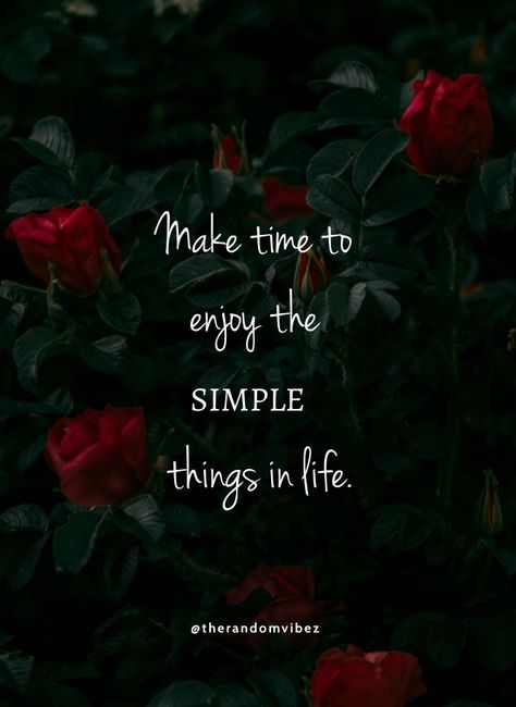 Be Simple Quotes, Simple Happy Life Quotes, Best Quotes In English, Today's Lesson Quotes, Simple Qouts, Quotes On Living Life, Quote On Life, Simple Life Quotes Happiness, True Words Quotes Life Lessons