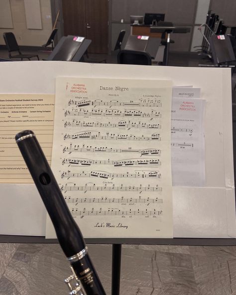 #piccolo #orchestra Piccolo Flute Aesthetic, Flutist Aesthetic, Concert Band Aesthetic, Piccolo Aesthetic, Musician Lifestyle, Orchestra Aesthetic, Flute Aesthetic, Piccolo Instrument, Piccolo Flute