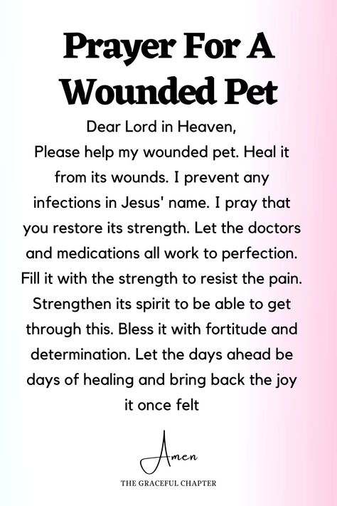 Pet Prayers, Prayer For Sick Dog, Lunch Prayer, Pet Healing, How To Overcome Laziness, Prayer For Health, Sick Cat, Prayer For Love, Prayer For Guidance