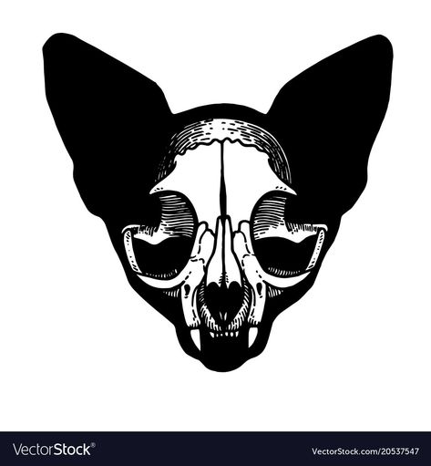 Small Cat Skull Tattoo, Cat Skull Outline, Cat Skull Tattoo Design, Cat Skull Art, Skull Outline, Cat Skull Tattoo, Cat Silhouette Tattoos, Silhouette Tattoo, Snake Logo