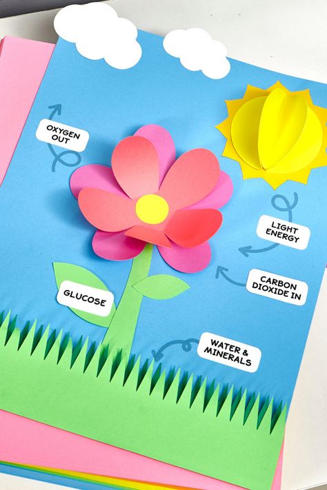 Flower power has a whole new meaning. Get this free flower lesson template to help you kiddos learn through play. Just download and print on your favorite Astrobrights Paper. Bonus tip: use Astrobrights Sticker Paper for easy labeling! Parts Of Plants Project For Kids, Easy Paper Flowers For Bulletin Board, 3d Flowers For Bulletin Board, Tissue Paper Poppies Kids, Photosynthesis Projects, Flower Suncatcher Craft Kids, Photosynthesis Activities, Photosynthesis Worksheet, Better With You