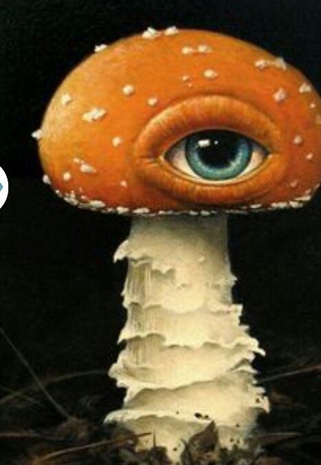 3rd eye Psy Art, Alphonse Mucha, Wow Art, Mushroom Art, Pop Surrealism, Trippy Art, Weird Art, Eye Art, Surreal Art