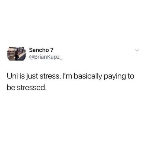 Basically… . . . #uni #UniversityofArizona #universitychallenge #collegeproblems Instagram Captions For University, Back To University Captions, Caption For University Life, Uni Captions, University Captions, University Captions For Instagram, College Instagram Story, Aesthetic Caption, Study Memes