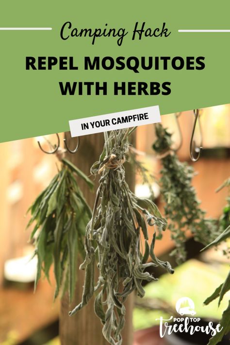 Moskito Repellant, Camping Hack, Mosquito Repellent Homemade, Diy Mosquito Repellent, Best Mosquito Repellent, Simple Camping, Mosquito Spray, Mosquito Protection, Night Under The Stars