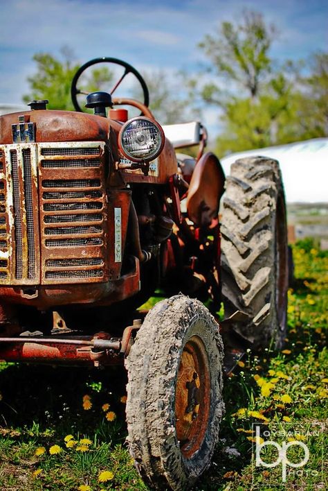 Tractor Photography, Tractor Barn, Classic Car Photography, Cars Photography, Tractor Pictures, Disney Cars Birthday, Cars Birthday Party Disney, Farmall Tractors, Old Tractor