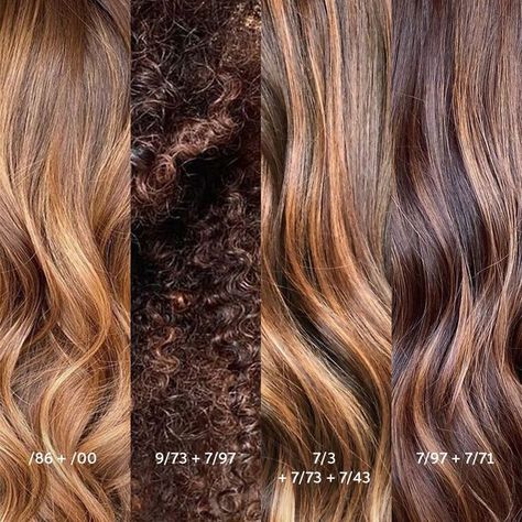 Use our Color Touch range to achieve that glossy, toffee brown balayage your clients dream of. Click to visit Wella Education to watch a caramel balayage tutorial. Toffee Brown Hair, Hoco Hairstyles Updo, Wella Hair Color Chart, Toner For Brown Hair, Toffee Hair Color, Balayage Tutorial, Igora Hair Color, Hairstyles For Homecoming, Wella Formulas