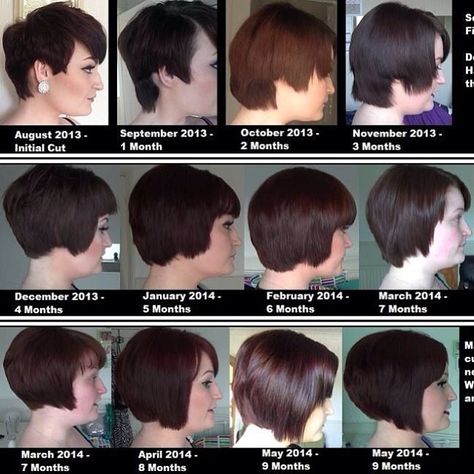 My 9 months of Growing out my Pixie! You can find the 2 monthly video updates on my YouTube channel (link in bio) ☺️ #pixie #pixiecut #pixiegrowth #hair #hairgrowth #shorthair #shortbob #angledbob #haircut #brunette #grownoutpixie #growingoutmypixie How Long To Grow Out A Pixie, Outgrowing Pixie Haircut, Grown Out Pixie Hairstyles Ideas, Stages Of Growing Out A Pixie, Styles For Growing Out A Pixie, Grow Out Pixie Hairstyles, Growing Out A Pixie Styles, Growing Out A Pixie Stages Of, Growing Out Pixie Haircut