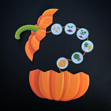 Pumpkin Life Cycle Preschool, Parts Of Pumpkin, Pumpkin Life Cycle Craft, Flower Activities For Kids, Life Cycles Kindergarten, Life Cycles Preschool, Life Cycle Of A Pumpkin, Parts Of A Pumpkin, Pumpkin Life Cycle