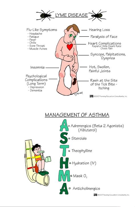 2-Nursing-Mnemonics - guide - 1429 - Studocu Vancomycin Mnemonic, Anatomy Mnemonics Muscle, Raas System Nursing Mnemonics, Hypocalcemia Mnemonic, Nursing Pneumonics, Nursing Tools, Clinical Instructor, Pass Your Exams, Nursing Instructor