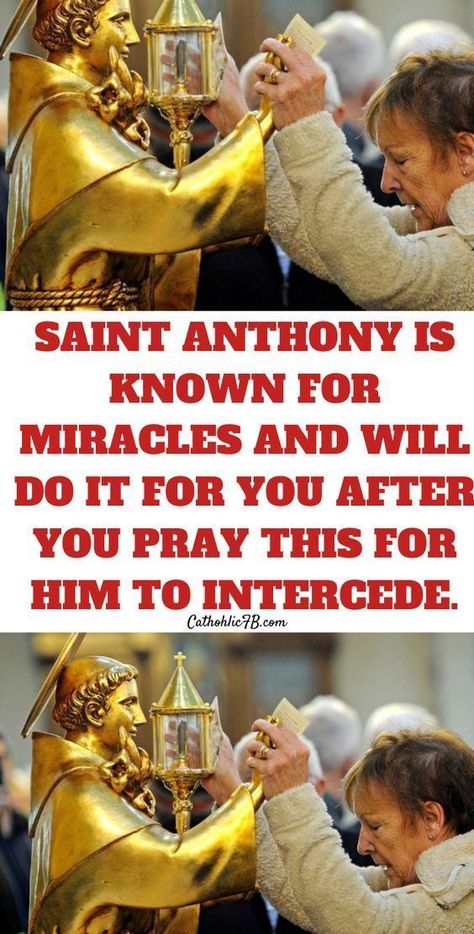 St Anthony Miracle Prayer, Novena Prayers Catholic, St Anthony Prayer, Biblical Pictures, Catholic Saints Prayers, Catholic Prayers Daily, Powerful Morning Prayer, Eucharistic Adoration, Spiritual Warfare Prayers