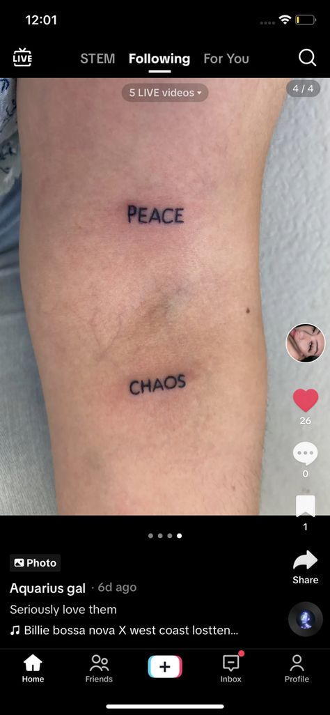 Chaos Peace Tattoo, Chaos Tattoo, Peace And Chaos, Peace Tattoos, Photo Sharing, Tattoos, Quick Saves