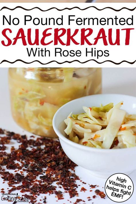 FOR DETOX!! Anti-radiation benefits from the high vitamin C~ If you love fermented foods like kombucha, you'll love this easy no pound fermented sauerkraut, a high Vitamin C food thanks to the star ingredient -- rose hips! It's tangy, delicious, and the no pound method is as simple as it gets when it comes to making homemade sauerkraut. You need only 4 ingredients, including cabbage and sea salt! #tradcookschool #fermentation #sauerkraut #homemadesauerkraut #fermentedsauerkraut #fermentedfoods Farmhouse On Boone Sauerkraut, Saurkraut Recipes Healthy Fermented Foods, Fausnaught Recipe, German Sauerkraut Recipes Homemade, Making Sauerkraut Homemade, Sauerkraut Recipes Homemade, Saurkraut Recipes Homemade, Homemade Sourkraut, Fermenting Sauerkraut