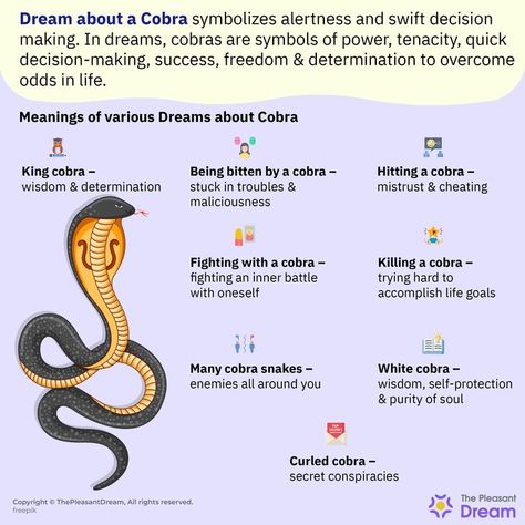 The Symbolic Meaning of Dream about a Cobra –35 Scenarios Discussed Cobra Spirit Animal Meaning, Cobra Meaning, Cobra Symbol, Dream Messages, Snake Meaning, Snake Symbolism, Spirit Animal Meaning, Dream Meaning, Recurring Dreams