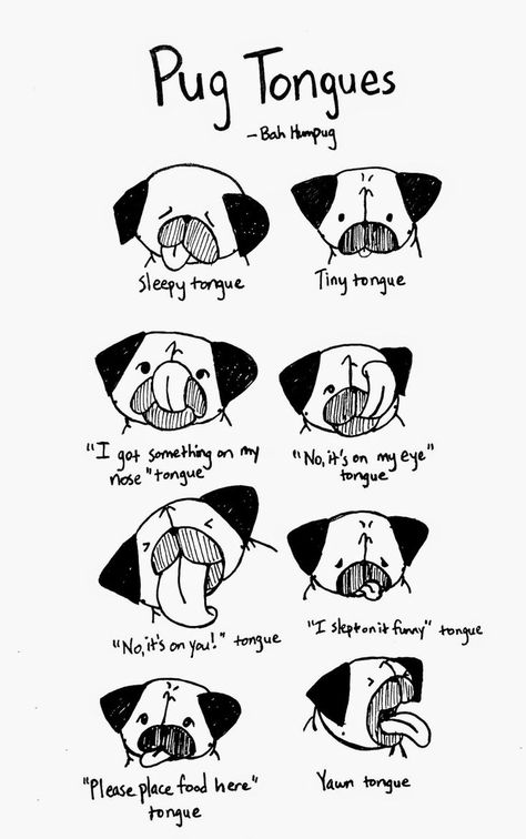 Bah Humpug: Pug Tongues Pug Cartoon, Pug Illustration, Black Pug Puppies, Pugs And Kisses, Baby Pugs, Pug Art, 강아지 그림, Pug Mom, Black Pug