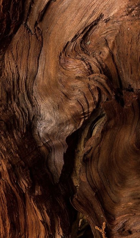 Earth Brown Aesthetic, Wood Texture Aesthetic, Wood Astethic, Wood Background Aesthetic, Wood Aesthetic Wallpaper, Woody Aesthetic, Wood Texture Wallpaper, Brown Moodboard, Earth Texture