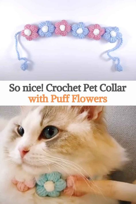 In this crochet tutorial we will learn step by step how to crochet this beautiful pet collar with puffy flowers, the creator explains that it is also suitable for babies. This is an easy crochet tutorial for beginners. We think it would be perfect for our cute kitten and we could make one for each of our pets, with different colors that represent the personality of each one, it is so cute and easy to make that we love this project, any pet would look beautiful with a collar like this. Free Cat Collar Crochet Pattern, Crochet Pet Hat Pattern Free, Crochet Dog Accessories Ideas, Crochet Cat Accessories Free Pattern, Crochet Cat Dress, Crochet Projects For Pets, Crochet Dog Collar Pattern Free, Diy Pet Collar, Pet Crochet Patterns Free